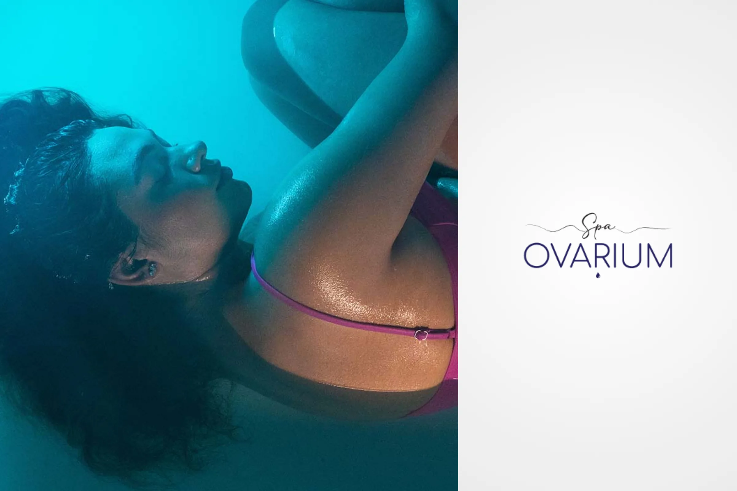Ovarium (1)